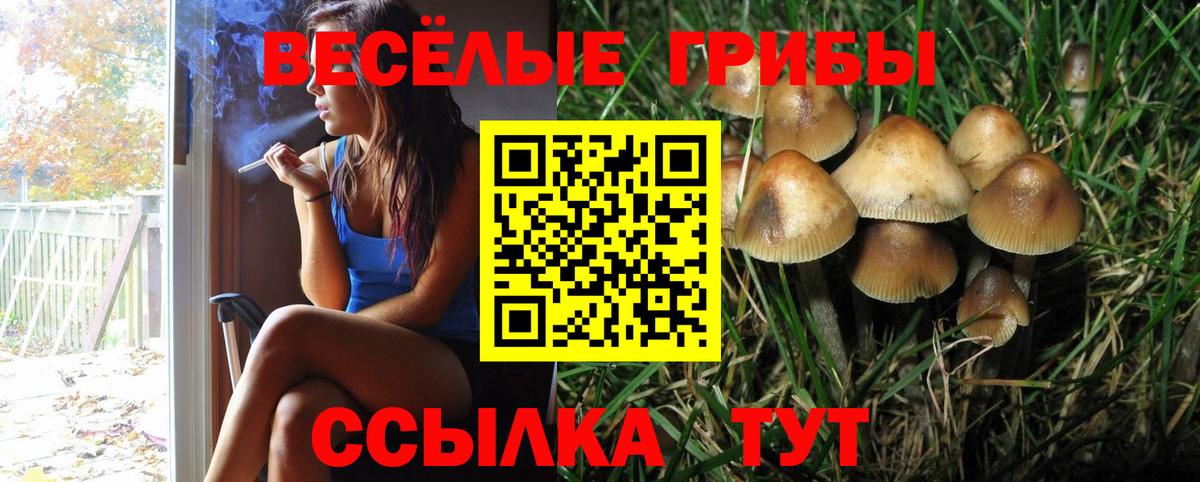 Улан-Удэ  Псилоцибиновые грибы мухоморы  Вход с VPN 