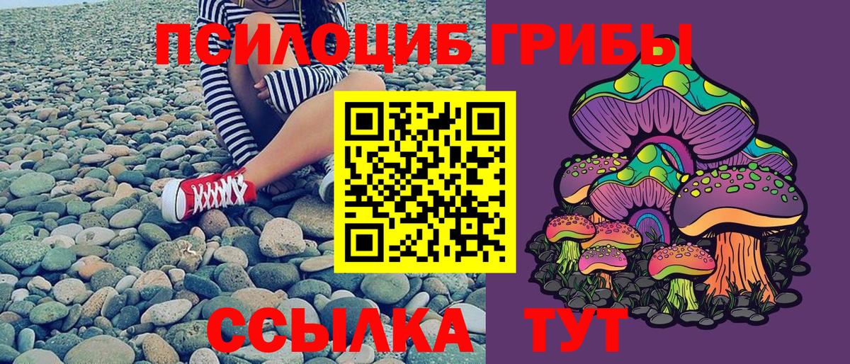 Псилоцибиновые грибы Cubensis Улан-Удэ